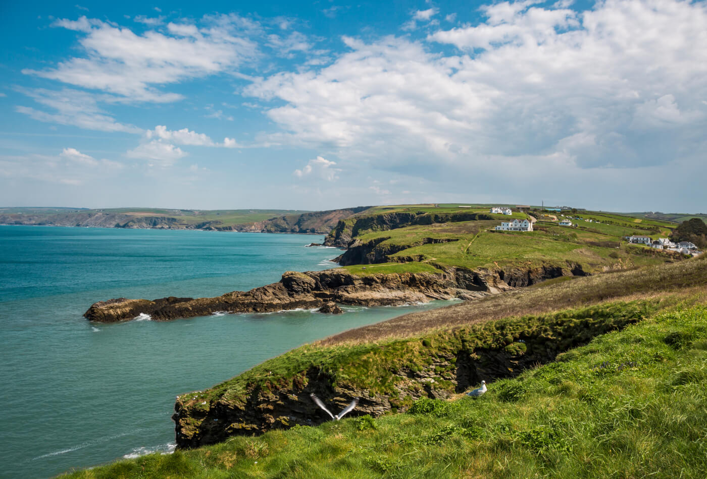 Port Isaac coastline on a North Cornwall walk.