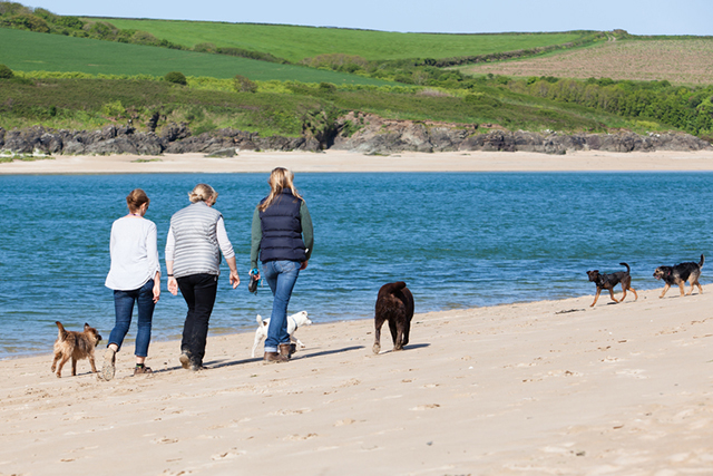 Dog walkers on Rock Beach out of season.