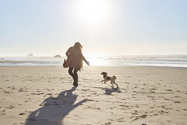 Happy dog and owner running across a sandy beach.