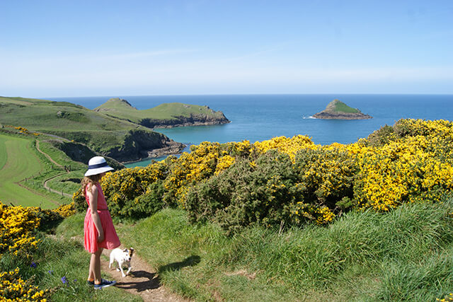 Walker and dog on the south west coast path with sea in background.