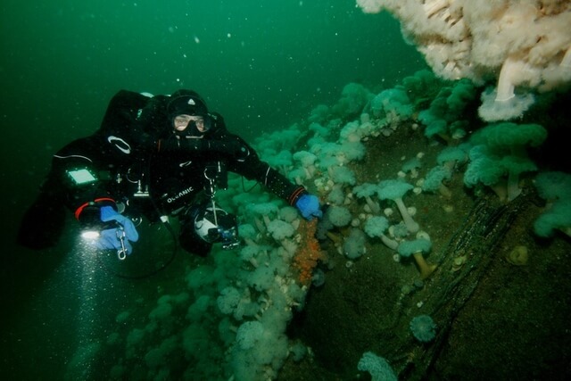 A scuba diver swimming underwater.