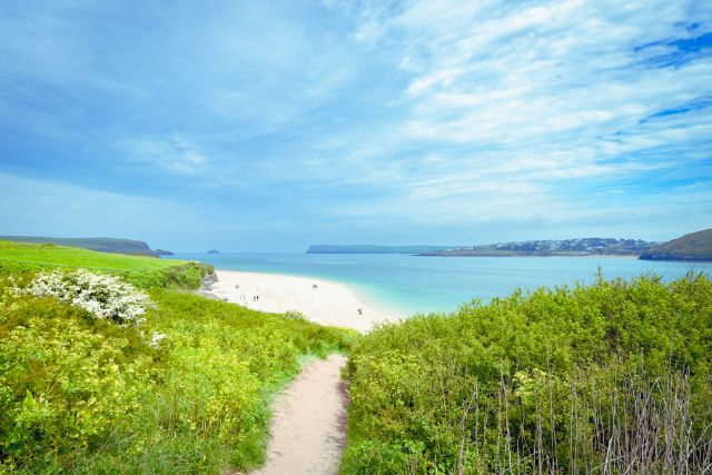 Padstow walks to Harbour Cove