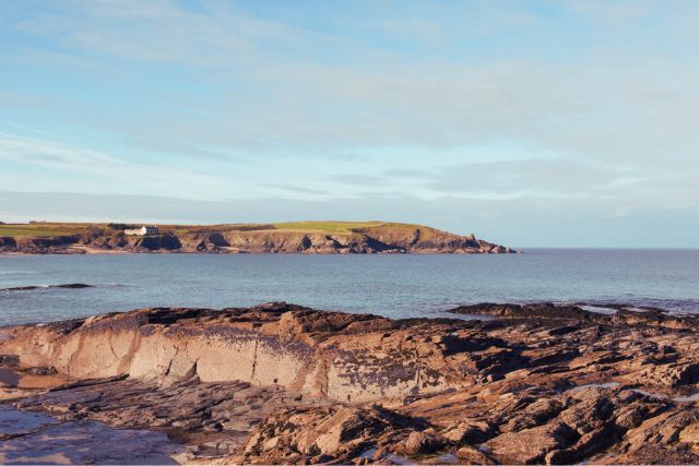 Padstow walks to Harlyn Bay