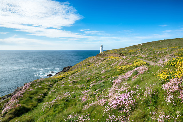 Padstow walks to Trevose Head