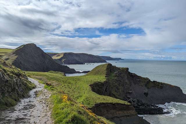 Grass covered headland along the South West Coast Path on a sunny day